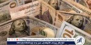 سعر الدولار اليوم مقابل الجنيه المصري الاثنين 2 ديسمبر 2024: استقرار مع انخفاض طفيف