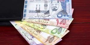 كم يبلغ سعر الريال السعودي اليوم في مصر؟