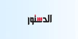 عن برنامح الفضاء المصرى