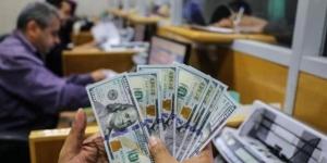 سعر الدولار في مصر.. آخر أخبار أسعار العملات الأجنبية أمام الجنيه اليوم