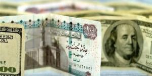 سعر الدولار مقابل الجنيه اليوم الثلاثاء 21 يناير 2025 في البنوك.. أسعار العملات اليوم