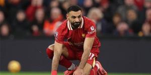 بث مباشر.. مشاهدة مباراة ليفربول وبورنموث فى الدورى الانجليزى الآن