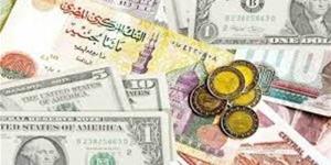 أسعار العملات الأجنبية اليوم السبت 1-2-2025 في البنوك المصرية