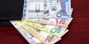 سعر الريال السعودى اليوم الأحد 2-2-2025 مقابل الجنيه المصرى