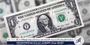 استقرار سعر الدولار مقابل الجنيه المصري اليوم الثلاثاء 11 فبراير 2025