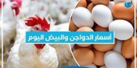 أسعار البيض اليوم الأحد 15-12-2024 في الدقهلية