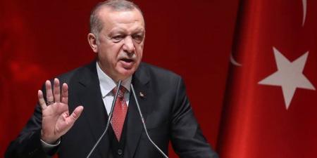 أردوغان من قمة الدول الثماني النامية : نسعى لتحقيق الاستقرار في سوريا