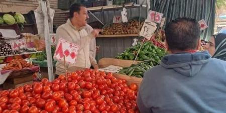 للتأكد من جودة المنتجات.. حملة مكبرة على المنشآت التجارية بنطاق حي غرب المنصورة