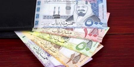 سعر الريال السعودى اليوم الإثنين 23 ديسمبر 2024 في مصر مقابل الجنيه المصري