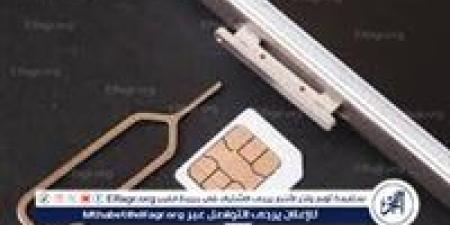 شريحة eSIM في مصر 2025.. كل ما تحتاج معرفته عن الموعد والسعر والمزايا