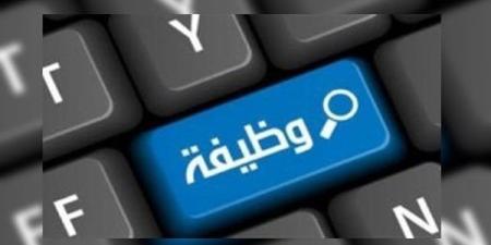 عاجل.. براتب 10 آلاف جنيه.. وزارة العمل توفر فرص عمل للشباب