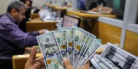 سعر الدولار في مصر.. آخر أخبار أسعار العملات الأجنبية أمام الجنيه اليوم