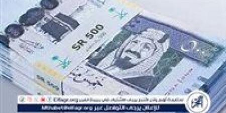 استقرار سعر الريال السعودي مقابل الجنيه المصري اليوم السبت 11 يناير 2025