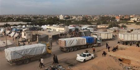 دعما للأشقاء الفلسطينيين.. مصر توزع مساعدات إنسانية للنازحين في المخيمات بقطاع غزة