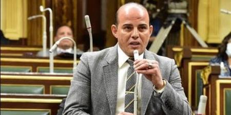 برلماني: شائعات الإخوان لن تفلح في التأثير على مصر والمصريين