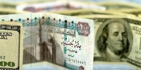 آخر تحديث لـ سعر الدولار مقابل الجنيه المصري الجمعة 24 يناير 2025