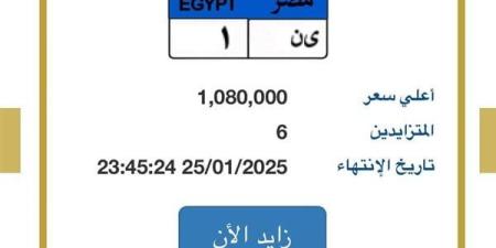 “ي ن - 1”.. لوحة مميزة لسيارة بقيمة مليون و80 ألف جنيه