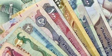 سعر الدرهم الإماراتي مقابل الجنيه المصري اليوم الخميس 30 يناير 2025