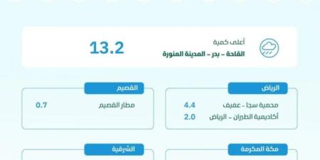 البيئة ترصد هطول أمطار في 6 مناطق.. والمدينة المنورة تسجّل أعلى كمية بـ 13.2 ملم في القاحة بدر