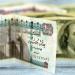 سعر الدولار اليوم في البنوك المصرية وشركات الصرافة