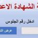 نتيجة الشهادة الإعدادية 2025 في القاهرة: الاستعلام عن النتيجة بمجرد إعلانها