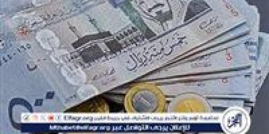 استقرار سعر الريال السعودي مقابل الجنيه المصري اليوم الثلاثاء 3 ديسمبر 2024