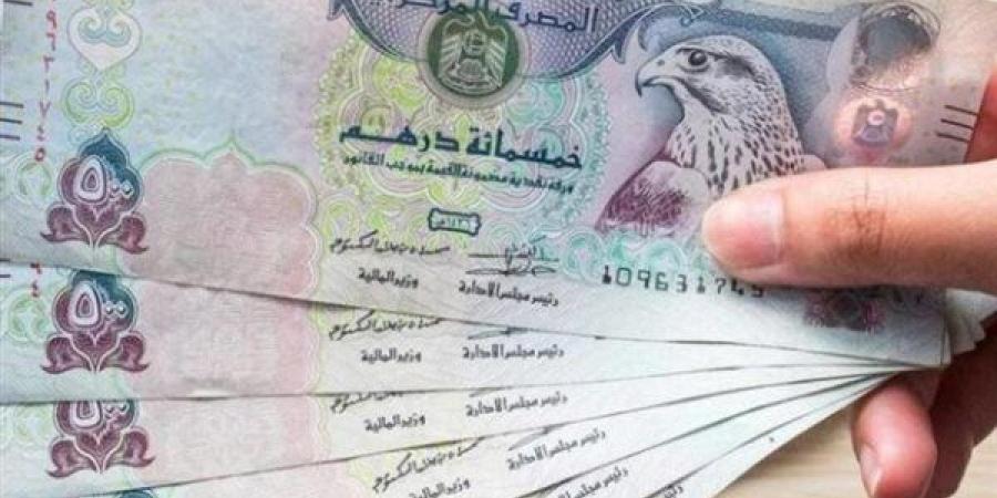 سعر الدرهم الإماراتي أمام الجنيه المصري اليوم الثلاثاء 3 ديسمبر 2024