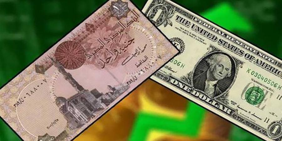 خبير اقتصادي: توقعات بخفض سعر الجنيه أمام الدولار بنسبة 10‎% (فيديو)