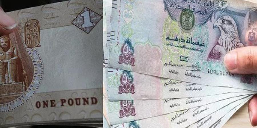 أسعار الدولار الآن في بنوك مصر.. تحديث مباشر لسعر الدولار