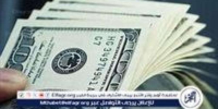 أسعار الدولار مقابل الجنيه المصري اليوم الأربعاء 11 ديسمبر 2024: استقرار ملحوظ