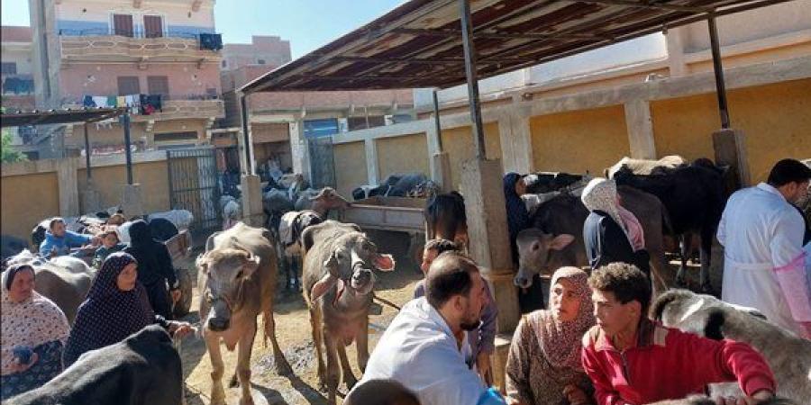 فحص وعلاج 4645 رأس حيوان وماشية في قوافل بيطرية مجانية بسوهاج والمنوفية