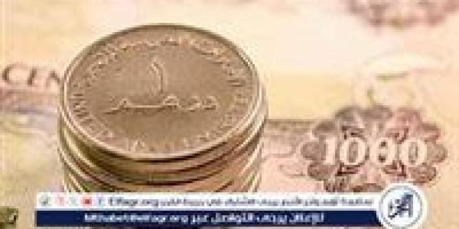 استقرار سعر الدرهم الإماراتي مقابل الجنيه المصري اليوم 16 ديسمبر 2024