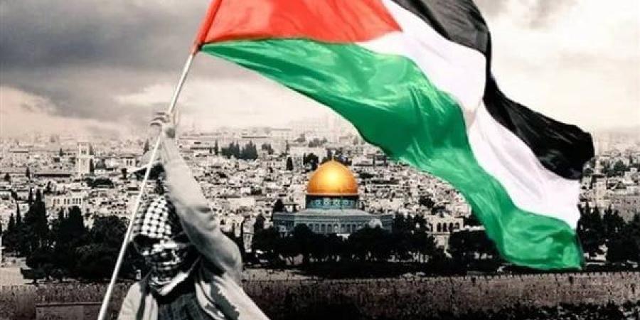 الأمم المتحدة تعتمد قرارًا لطلب رأى استشارى جديد حول ممارسات إسرائيل بفلسطين