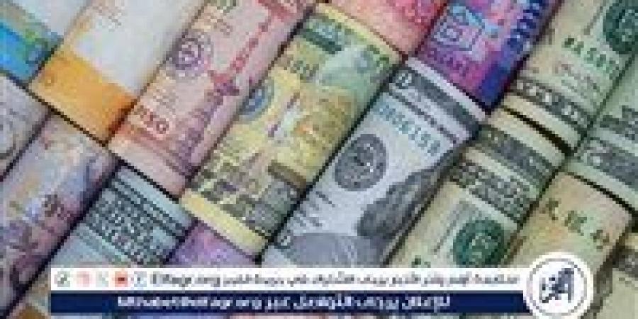 استقرار ملحوظ في أسعار صرف العملات أمام الجنيه المصري اليوم 20 ديسمبر 2024