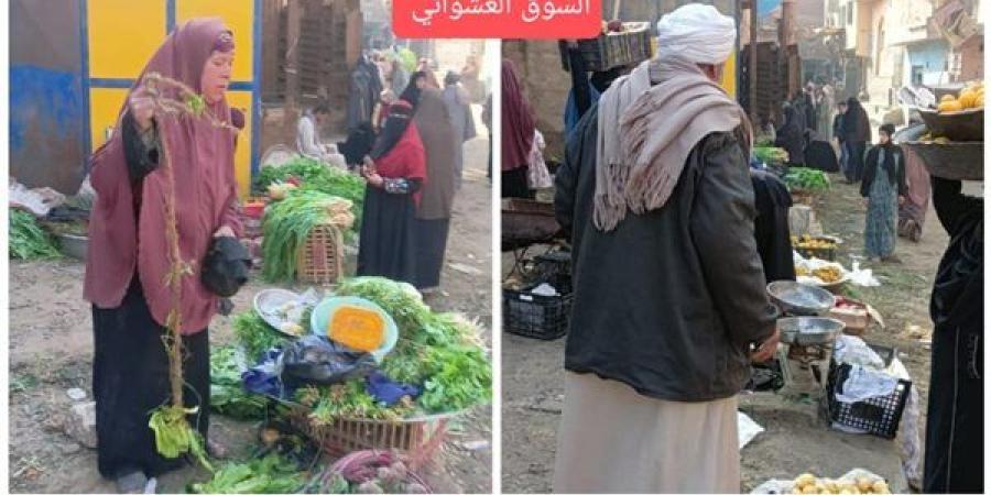 محافظ الجيزة: تسكين البائعين بسوق البرمبل الحضارى بأطفيح