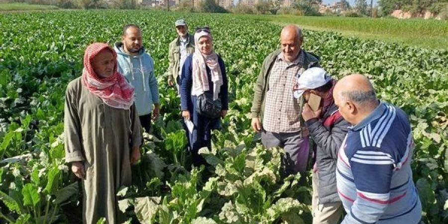 حصاد أنشطة مبادرة المراكز الإرشادية الزراعية خلال النصف الأول من شهر ديسمبر 2024