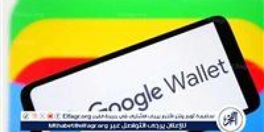 إطلاق محفظة "Google Wallet" في مصر: كل ما تحتاج معرفته