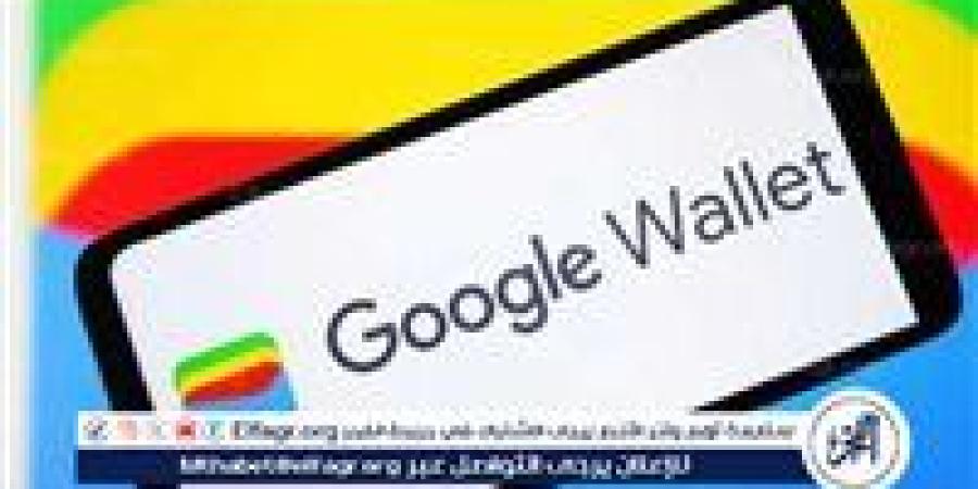 "Google Wallet" الميزة الجديدة في عالم المدفوعات الرقمية قادمة إلى مصر في يناير 2025