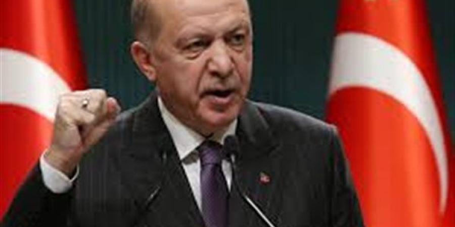 أردوغان: تركيا لن تسمح بأي تهديدات تمس سيادة سوريا