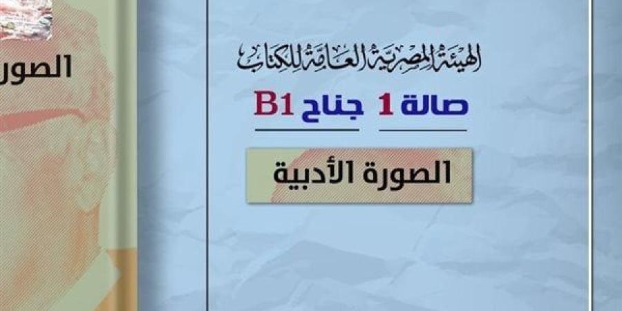 ضمن خطة معرض القاهرة.. الثقافة تصدر "الصورة الأدبية" لـ مصطفى ناصف بهيئة الكتاب