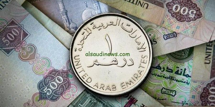 سعر الدرهم الإماراتي مقابل الجنيه المصري اليوم الخميس 26-12-2024 في البنوك المصرية