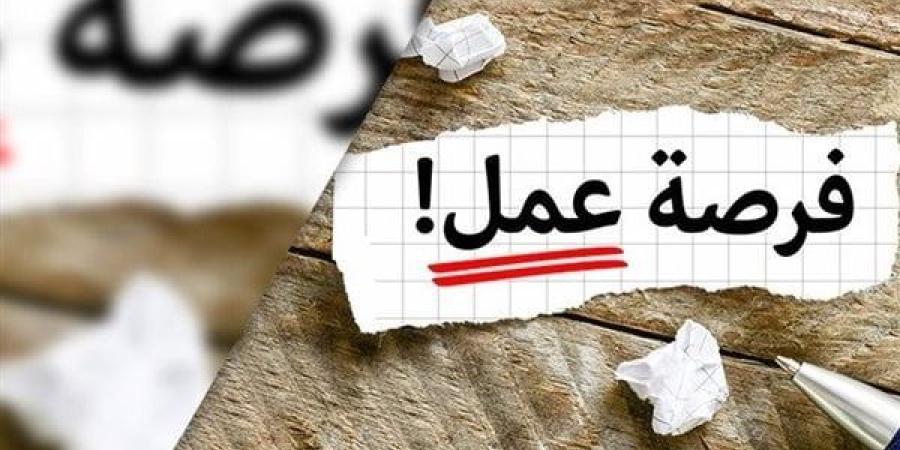 وظائف تكنولوجيا معلومات واتصالات في مصر: فرص عمل متنوعة