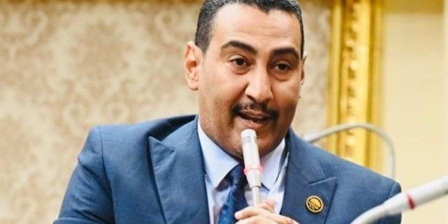 محمد الجبلاوى يشيد بجهود الدولة فى قطاعى البترول والكهرباء