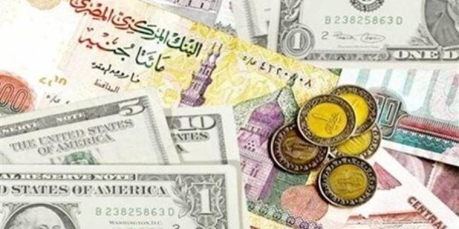 أسعار العملات الأجنبية أمام الجنيه المصري اليوم الإثنين