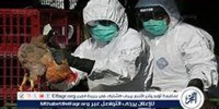 أول وفاة بشرية بسبب إنفلونزا الطيور H5N1 في الولايات المتحدة: التفاصيل والتحذيرات