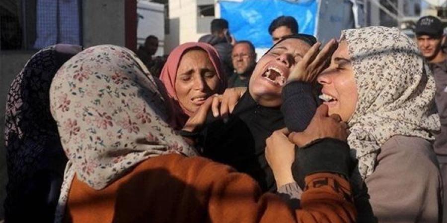 خبير سياسات دولية: أمل الفلسطينيين يتزايد في انتهاء الحرب بوصول ترامب للحكم