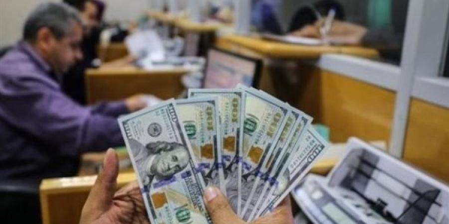 سعر الدولار في مصر: تحديثات منتصف اليوم الأربعاء 8 يناير 2025