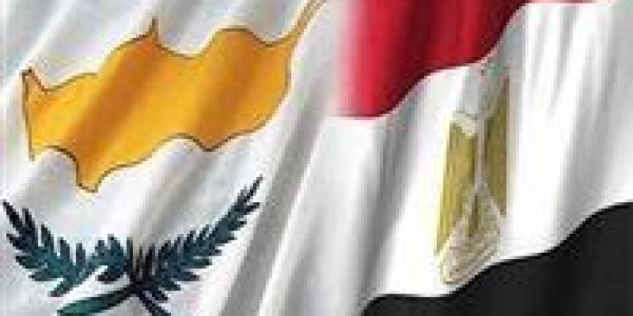 ما أهمية العلاقات المصرية القبرصية؟.. خبراء يجيبون