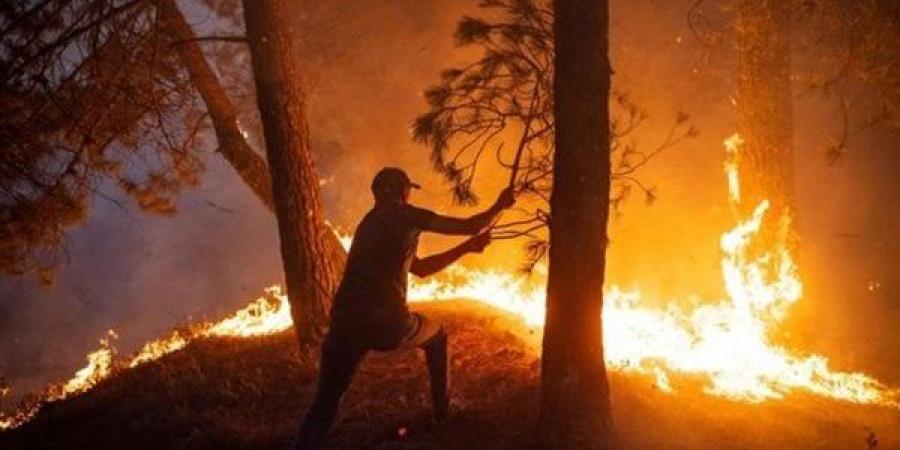 عمدة مقاطعة لوس أنجلوس: 11 قتيلًا و13 مفقودًا فى حرائق الغابات حتى الآن