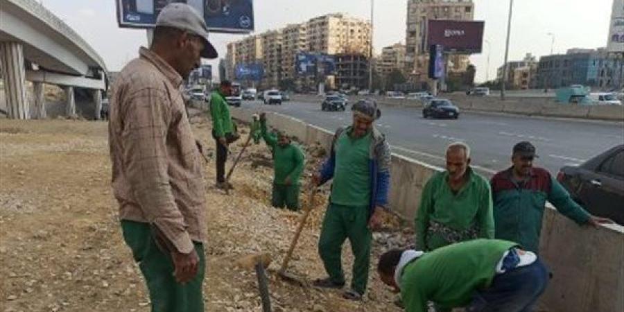 "التنمية المحلية" تعلن تفاصيل خطة تشجير الدائري بالقاهرة الكبرى (فيديو)